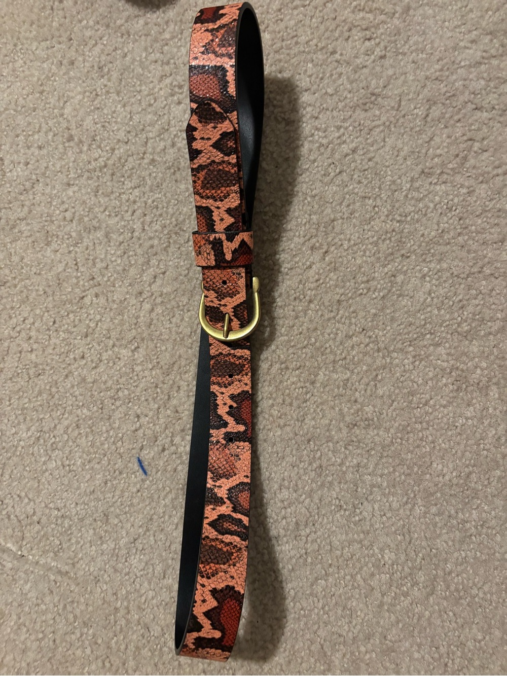 Women's Orange Snake-Print Belt with Gold Buckle